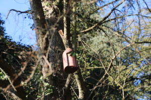 15. Nichoir oiseaux insectivores