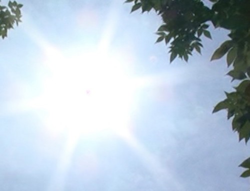 Plan national canicule 2023 : la veille est actionnée