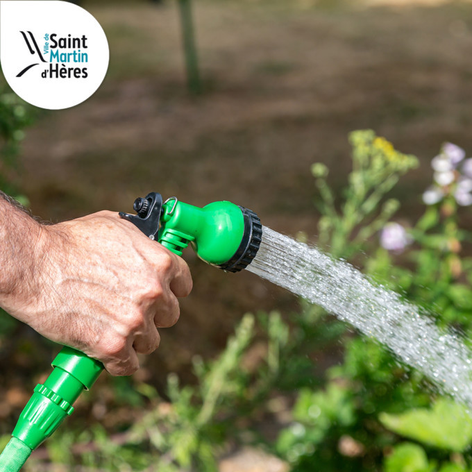 A,Man,Watering,A,Garden,With,A,Hosepipe,,During,A A man watering a garden with a hosepipe, during a dry summer in Sussex