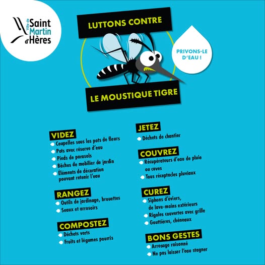 moustiques