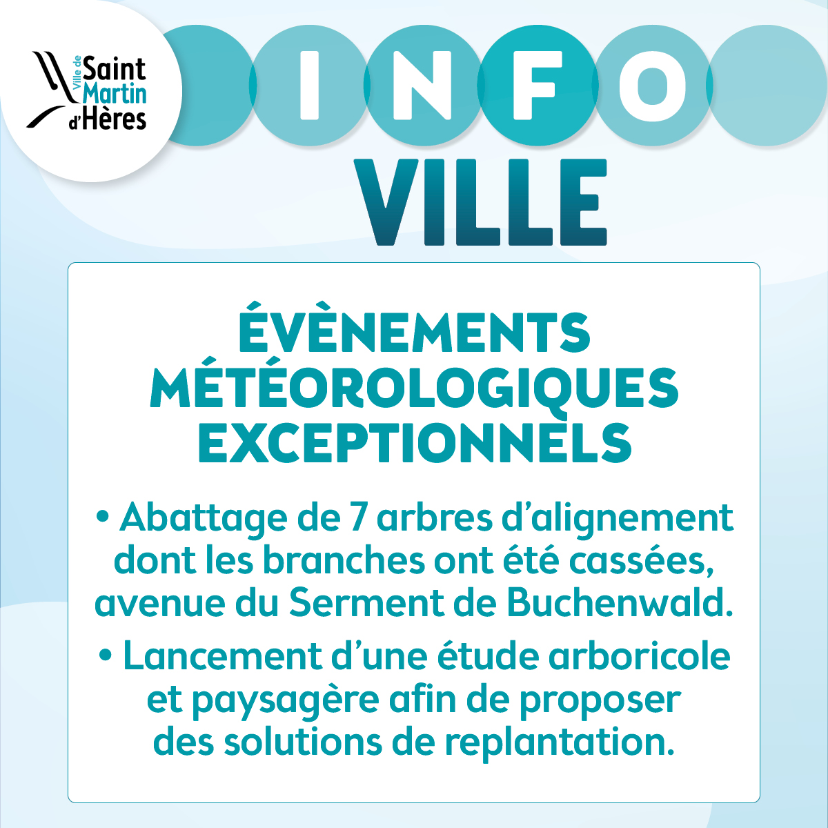 25-47_Carré web Info ville Abattage arbres_TD 25-47_Carré web Info ville Abattage arbres_TD