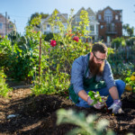 Inviter la biodiv' chez soi